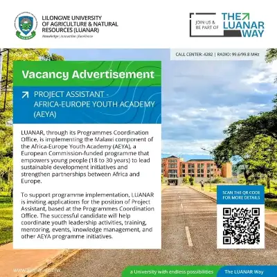Project assistant 