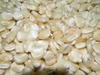 Mzuzu Maize Distributors
