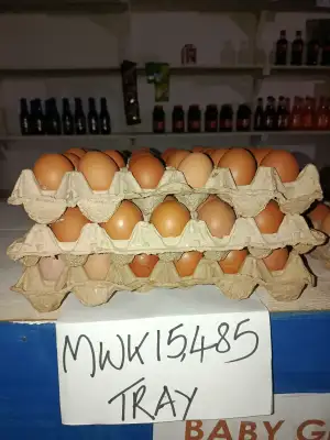 Eggs