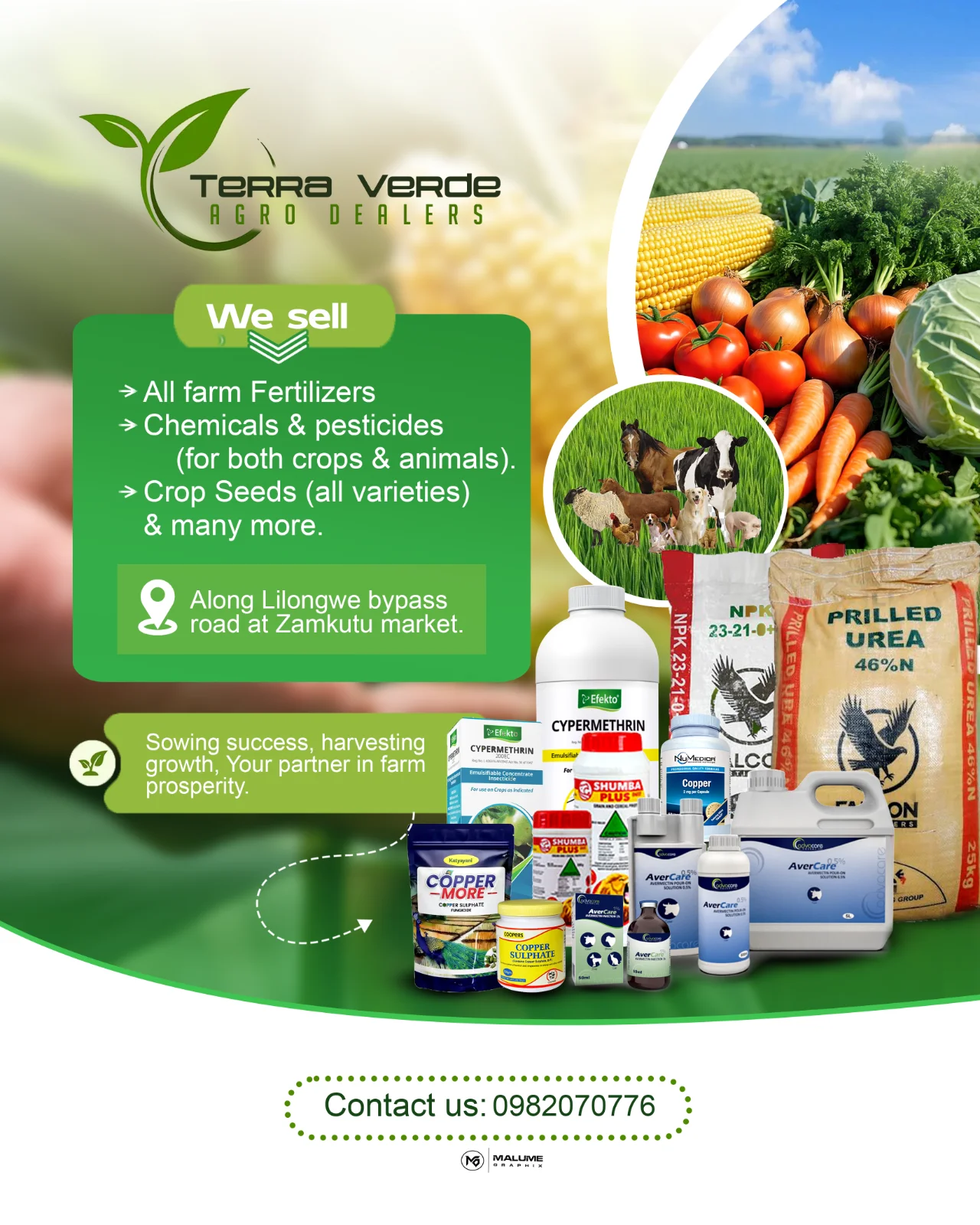 Graphic designing service  — image 6