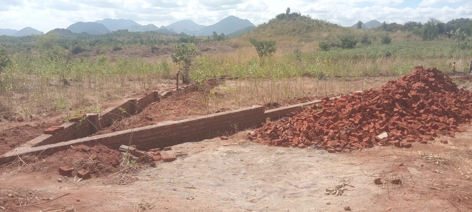 Plots  — image 4