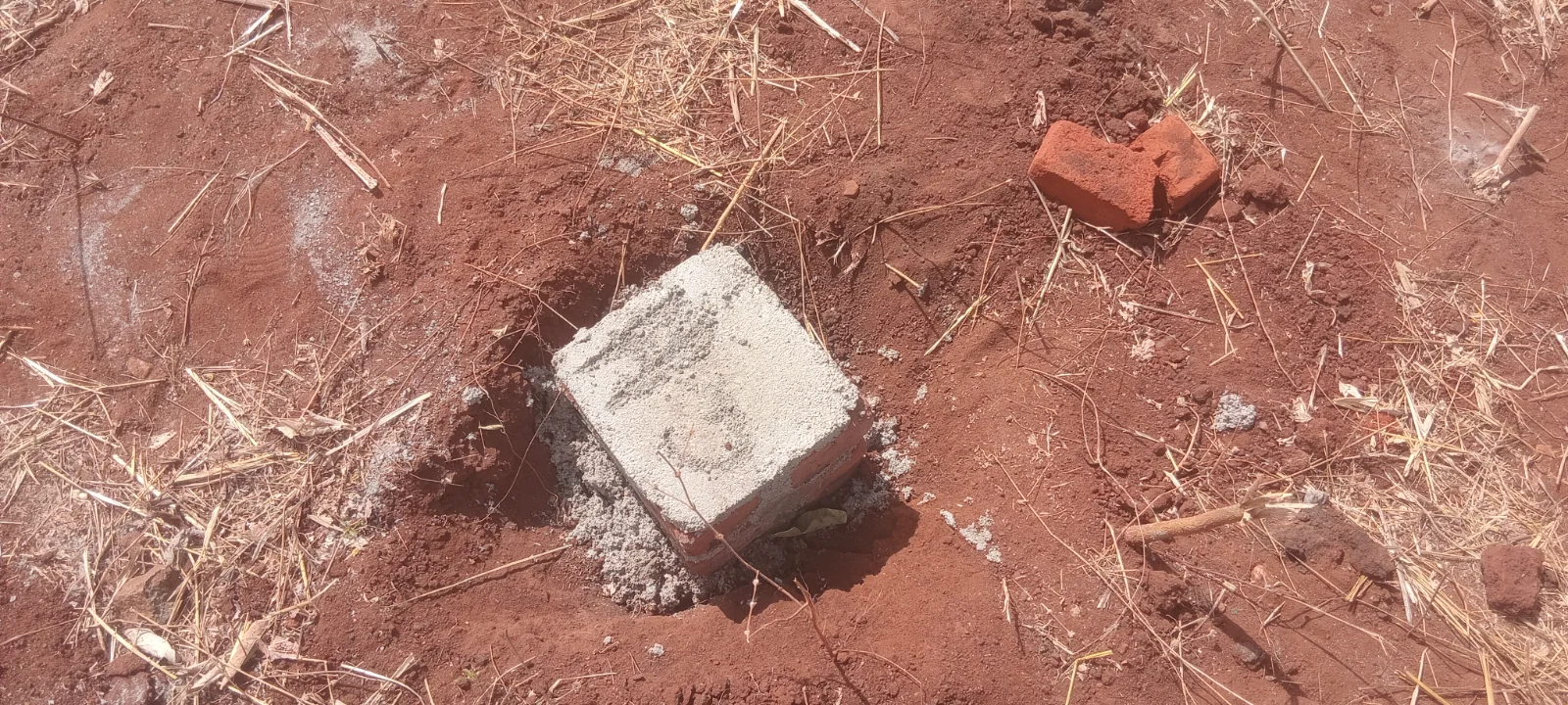 Plots  — image 6