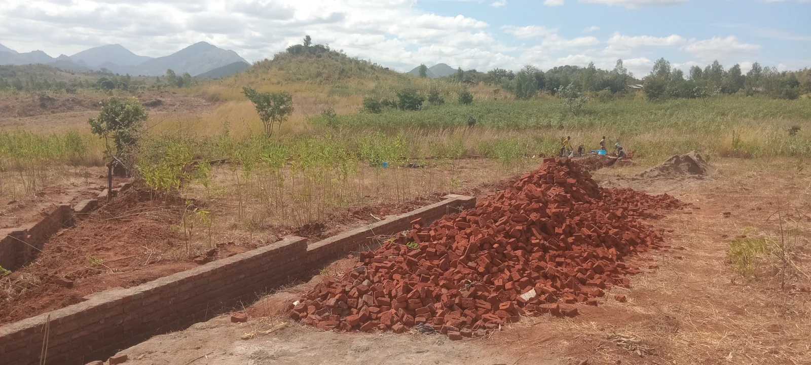 Plots  — image 7